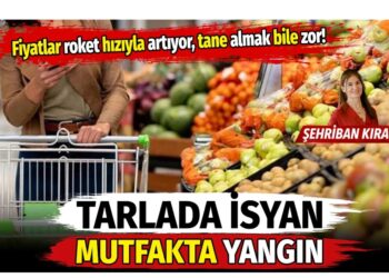 Sebze ve meyve fiyatları roket hızıyla artıyor: Tarlada isyan, mutfakta yangın!