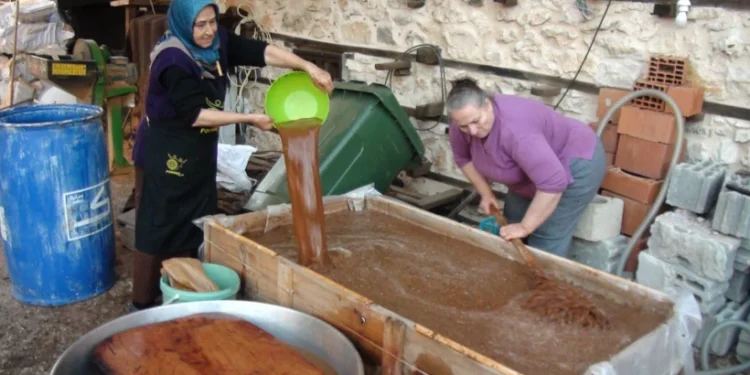 Kozalakları kaynatıp pekmeze dönüştürüyorlar: Kilosu 500 lira 1 pekmez