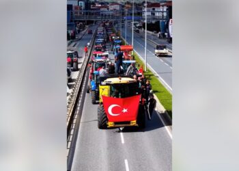 Karadeniz’de önce fındık şimdi de çeltik protestosu.