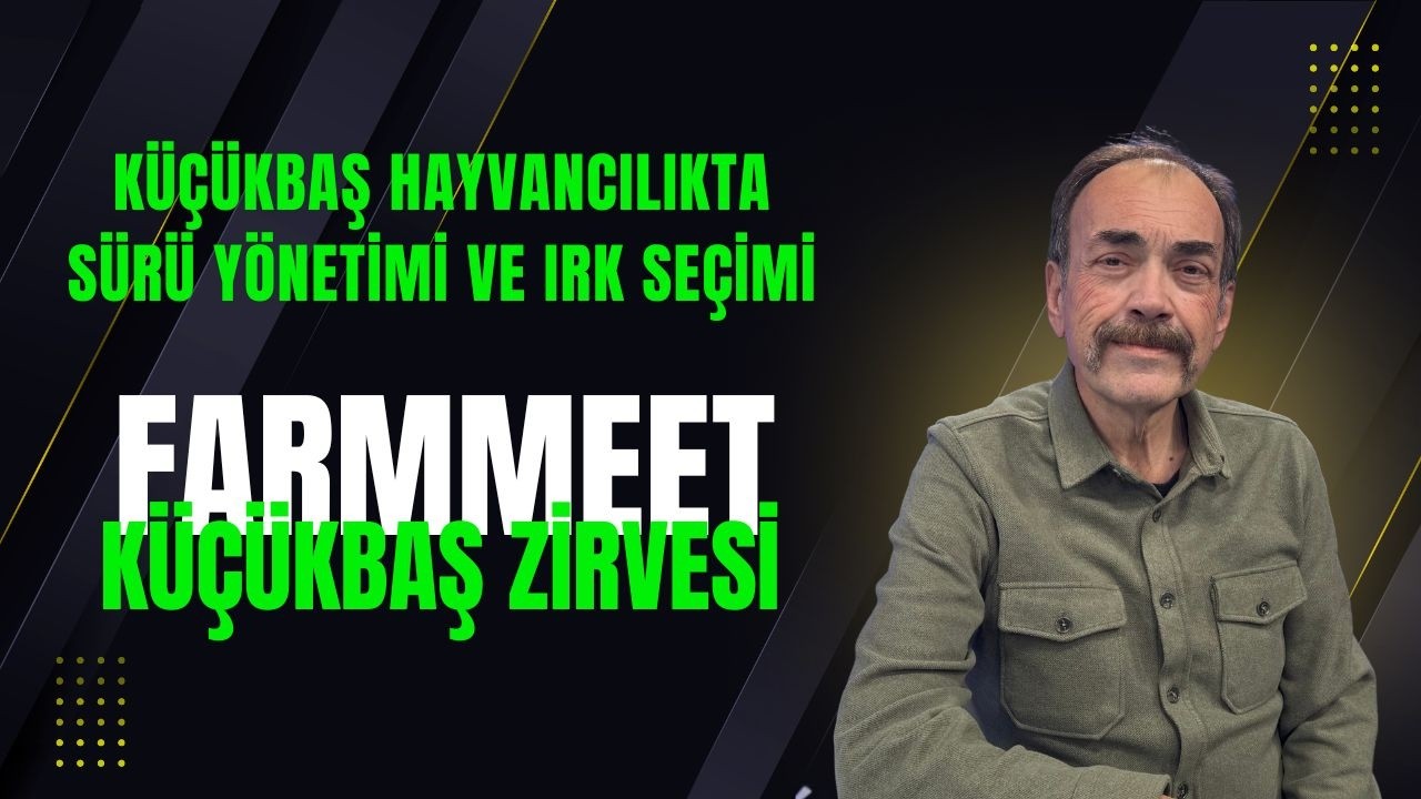 Farmmeet Küçükbaş Üreticileri Çalıştayında Sayın Zooteknist Rıza Dönmez Önemli Açıklamalarda Bulundu