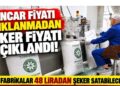 Şekere zam geldi ama fabrikalar yine satamayacak! Şeker piyasasında ‘2 firmalık lobi’ gerçeği