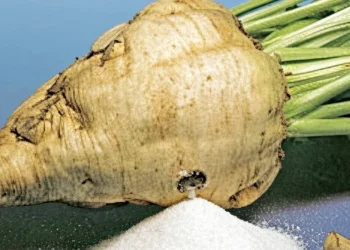 Şeker pancarında fiyat beklentisi 5 bin TL