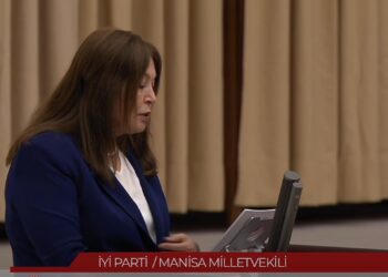 İyi Parti Manisa Milletvekili Şenol Suat, Manisa zeytin üreticilerinin sorunlarını TBMM kürsüsüne taşıdı