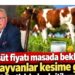Süt üreticisinden kritik uyarı: Fiyat artışı gecikirse anaç hayvanlar kesime gidecek! 7 Süt üreticisinden kritik uyarı: Fiyat artışı gecikirse anaç hayvanlar kesime gidecek!