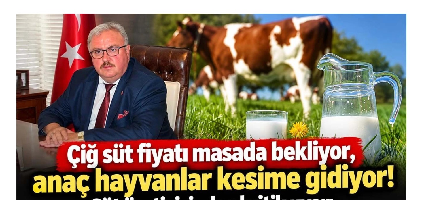 Süt üreticisinden kritik uyarı: Fiyat artışı gecikirse anaç hayvanlar kesime gidecek!