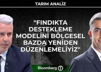 Tarım Analiz – “Fındıkta Destekleme Modelini Bölgesel Bazda Yeniden Düzenlemeliyiz”