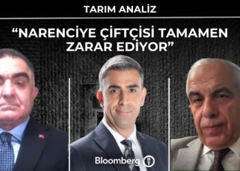 Tarım Analiz – “Narenciye Çiftçisi Tamamen Zarar Ediyor” | 14 Ekim 2026