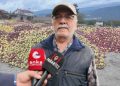 Tarlaya giren üretici ağlayarak çıktı: Tonlarca mahsul çürümeye bırakıldı 11 Tarlaya giren üretici ağlayarak çıktı: Tonlarca mahsul çürümeye bırakıldı