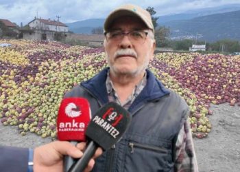 Tarlaya giren üretici ağlayarak çıktı: Tonlarca mahsul çürümeye bırakıldı