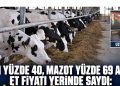 Yem yüzde 40, mazot yüzde 69 arttı, et fiyatı yerinde saydı: Üretici bu yükü nasıl taşıyacak?