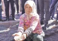 “Üreticiler kendileri toplasa bile zarar eder”