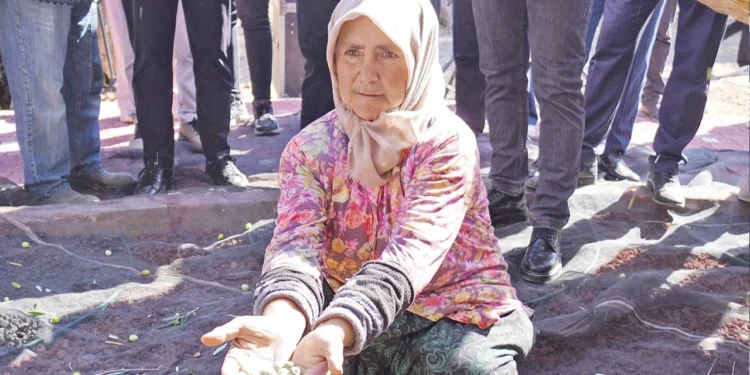 ureticiler kendileri toplasa bile zarar eder