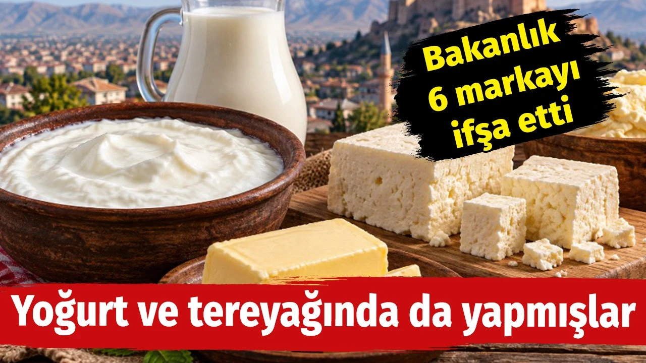 yogurt ve tereyagi