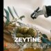 Zeytin Üreticisi Hasadı Bıraktı 6 Zeytin Üreticisi Hasadı Bıraktı