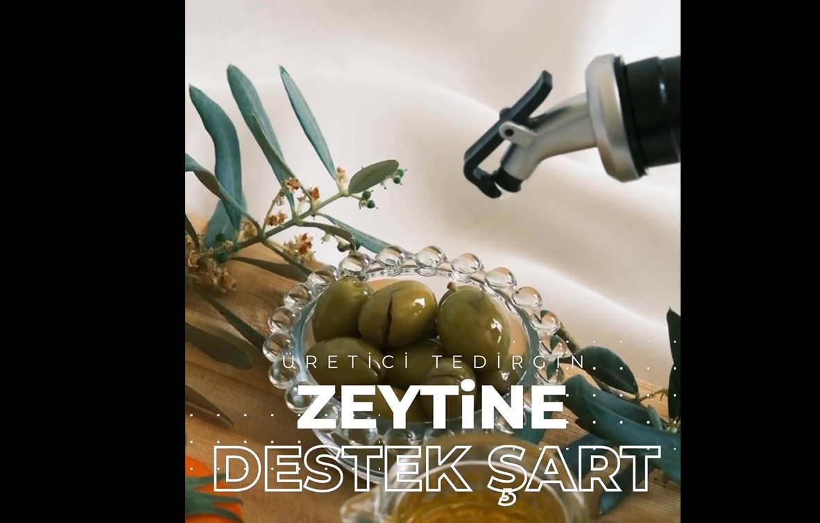 zeytine destek sart