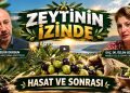 Hasat ve Sonrası – Zeytinin İzinde